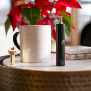 Linx Eden Dry Herb Vape on table lifestyle photo