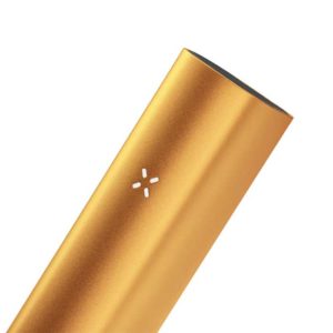 Pax 3 Amber close up