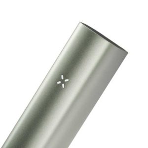 Pax-3-Sage-close-up