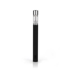 VPM D30 disposable all in one vape pen