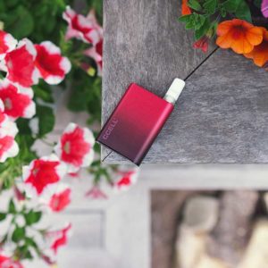 A Ruby CCell Palm Pro oil vape battery sitting on a stone ledge next to colorful flowers.