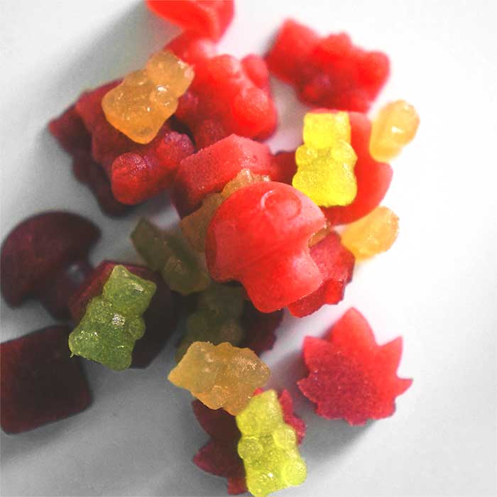 Gummy Molds by Weeded Gummy Bear 02
